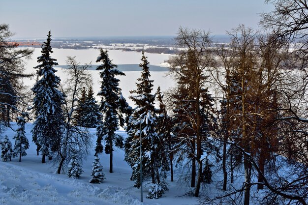 Volga River coast in winter