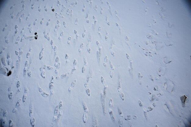 volgt asfaltsneeuw, ijs, sporen van mensen van schoenen op sneeuw, sneeuwruimweer