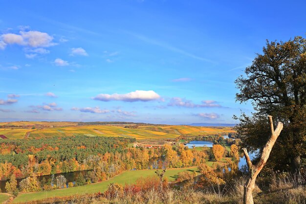 Foto volkach è una famosa regione vitivinicola in germania, in baviera e franconia.