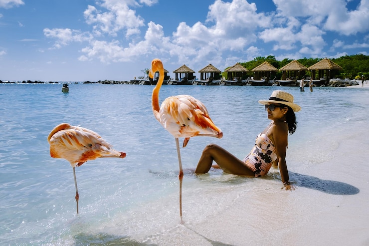 Foto volle lengte van vrouw die op het strand zit met flamingo's