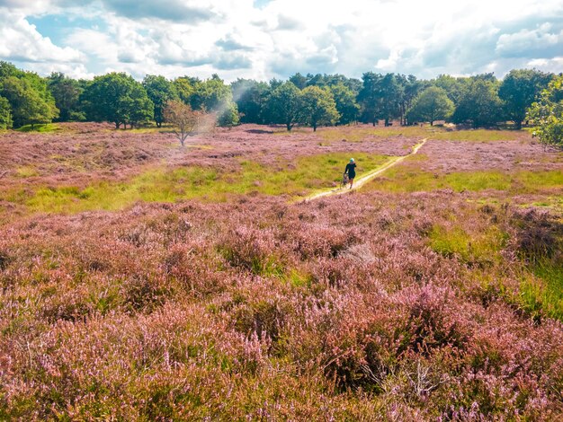 Foto volle lengte van vrouw met fiets op het veld tegen de lucht