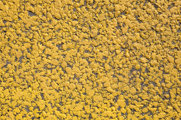 Volledig beeld van een gele bloeiende plant op het veld