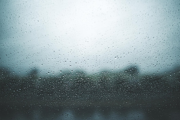 Volledig beeld van een nat glasraam tijdens het regenseizoen