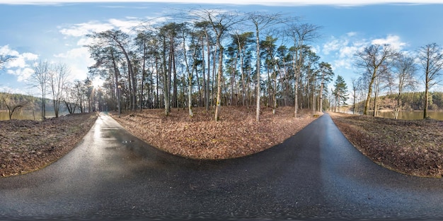 Volledig bolvormig hdri-panorama 360 graden hoekzicht op asfalt voetpad en fietspad in dennenbos in de buurt van rivier in equirectangular projectie vr ar-inhoud