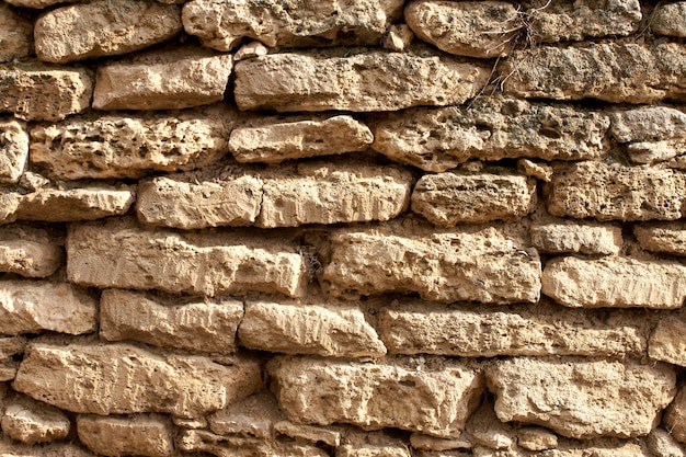 Volledig Kader Dat Van Stenen Muur Is Ontsproten