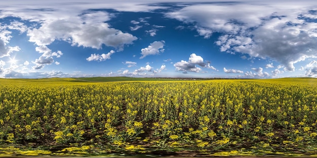 Volledig naadloos bolvormig hdri-panorama 360 graden hoekzicht op onder koolzaad koolzaadvelden in de lente in de lucht in equirectangular projectie klaar voor VR AR virtual reality-inhoud