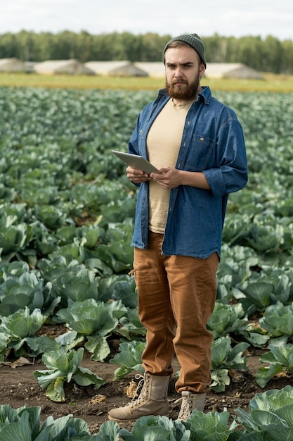 Volledig portret van serieuze jonge bebaarde plantagearbeider in spijkerhemd met digitale...