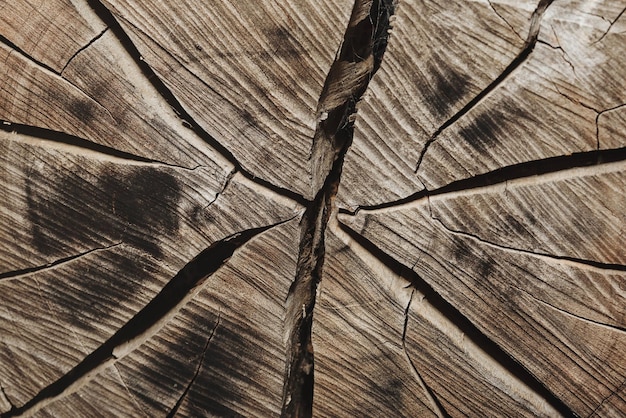 Volledige frame shot van hout