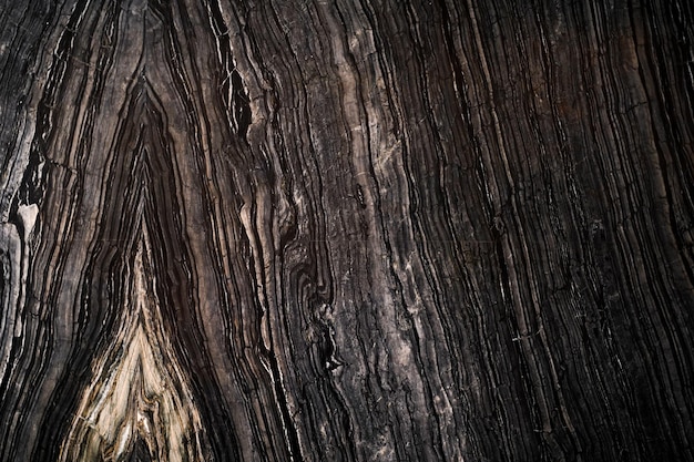 Volledige frame shot van hout