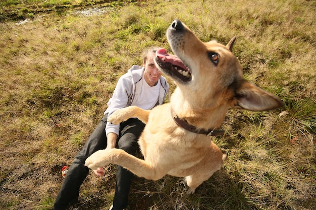 Volledige lengte van een hond op het veld