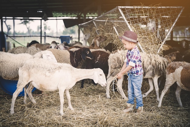 Foto volledige lengte van meisje met paard