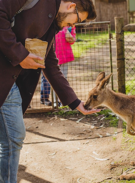 Foto volledige lengte van vrouw die in de dierentuin staat