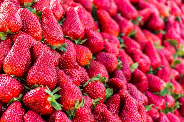 Volledige opname van aardbeien