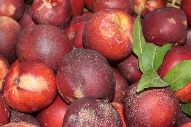 Volledige opname van aardbeien