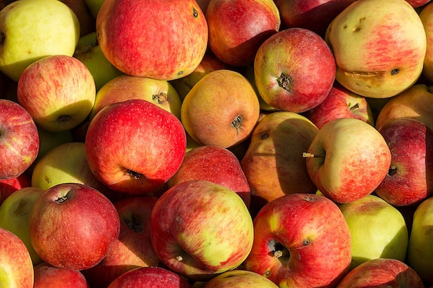 Volledige opname van appels te koop