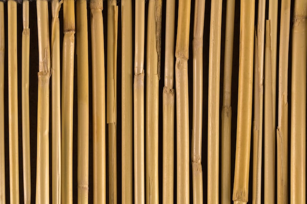 Volledige opname van bamboe