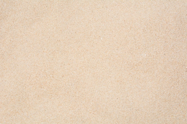 Volledige opname van blank papier