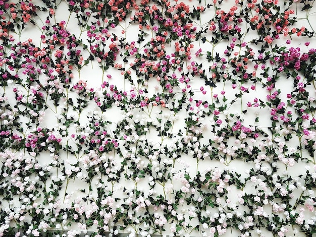 Foto volledige opname van bloemen die aan de muur hangen