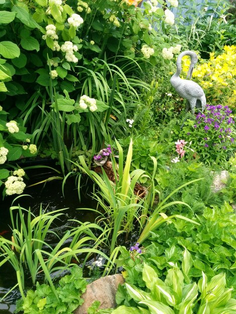 Foto volledige opname van bloemen die in het veld bloeien