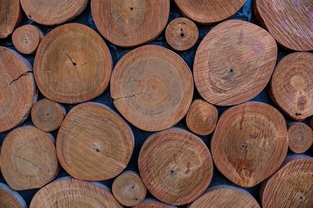 Volledige opname van boomstammen in het bos