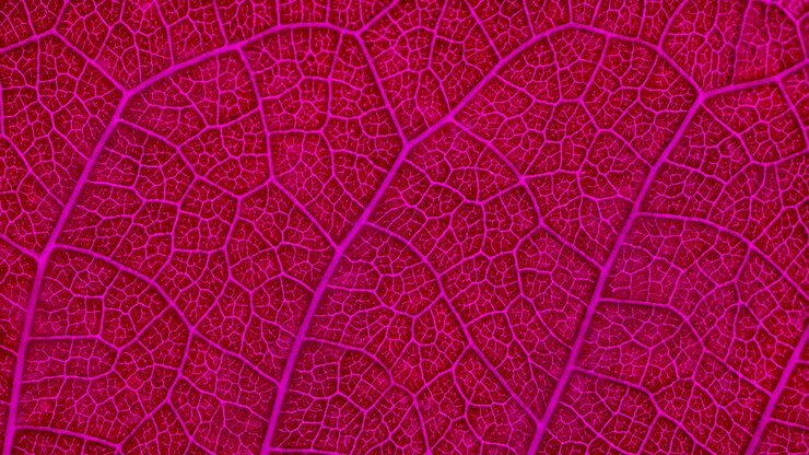Foto volledige opname van de abstracte achtergrond