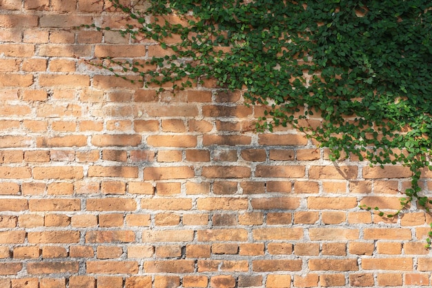 Foto volledige opname van de bakstenen muur