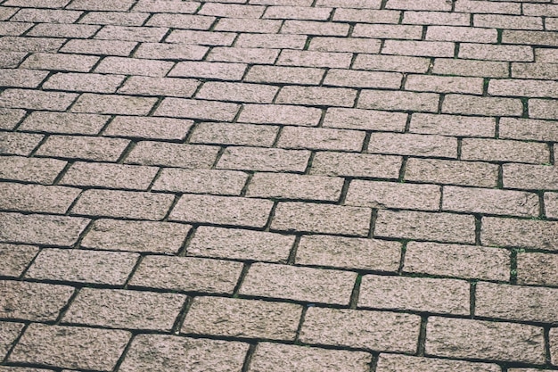 Volledige opname van de plaveiselsteen