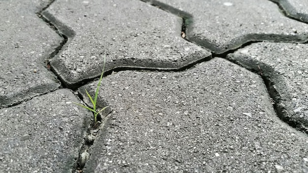 Volledige opname van de witte muur