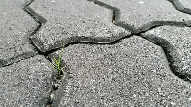 Foto volledige opname van de witte muur