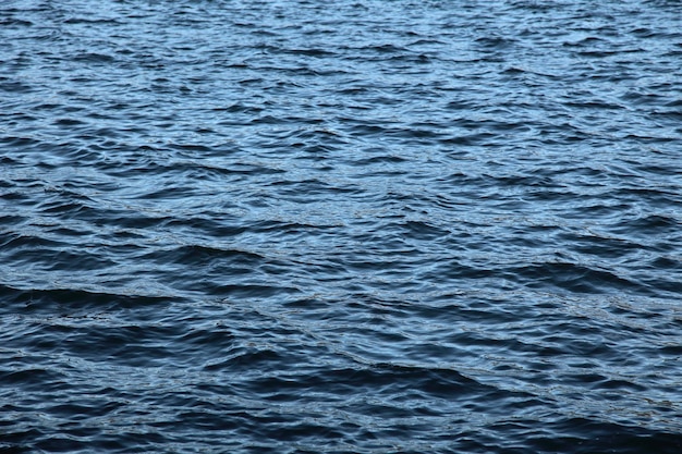 Volledige opname van de zee