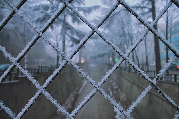 Volledige opname van een metalen hek in de winter
