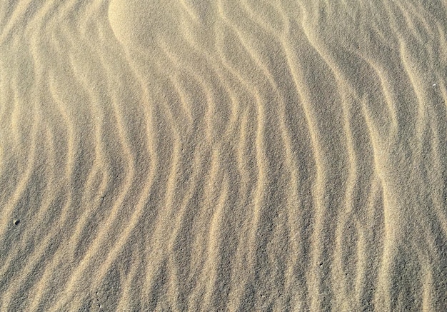 Volledige opname van een zandstrand