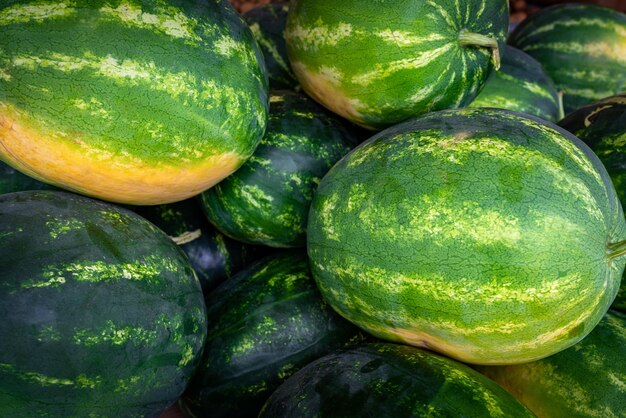 Foto volledige opname van fruit op de markt