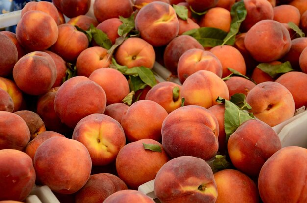 Foto volledige opname van fruit voor verkoop op de markt