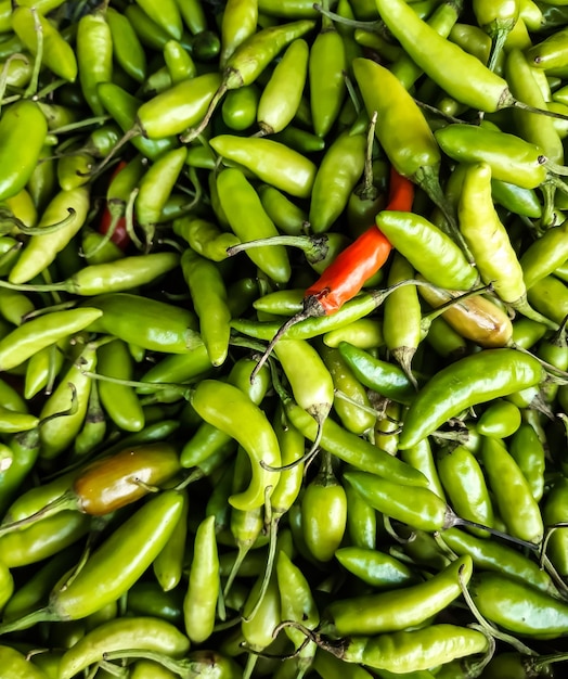 Foto volledige opname van groene chili pepers