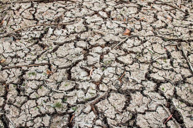 Foto volledige opname van het gebarsten veld