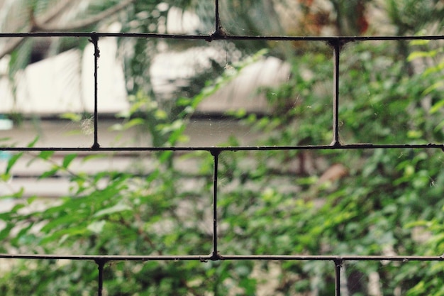 Volledige opname van het hek tegen planten