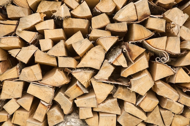 Volledige opname van houten blokken in het bos