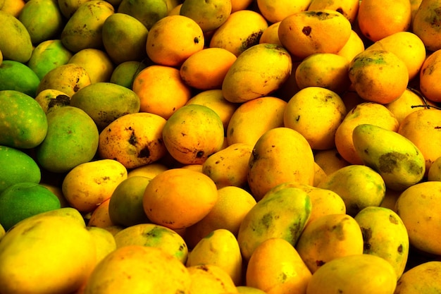 Volledige opname van mango's