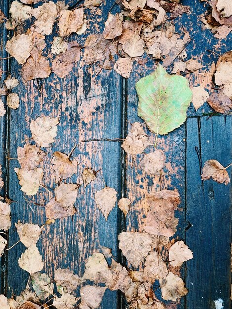 Foto volledige opname van oud verweerd hout