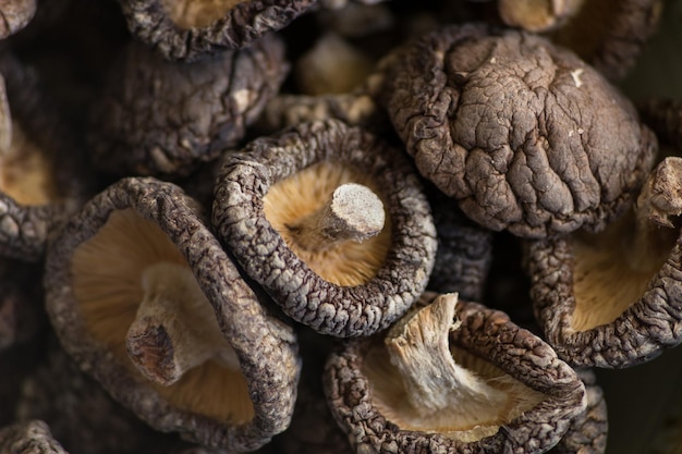 Volledige opname van paddenstoelen