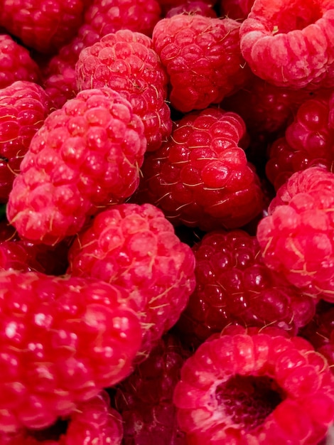 Foto volledige opname van raspberry's