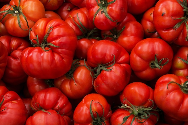 Volledige opname van rode paprika's