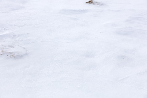 Volledige opname van sneeuwbedekt land