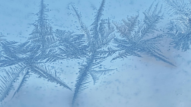 Volledige opname van sneeuwvlokken op een glazen raam