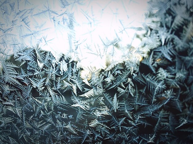 Foto volledige opname van sneeuwvlokken op glasvenster tijdens de winter