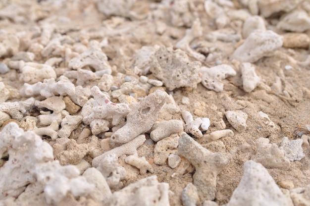 Volledige opname van steen en zand op het strand