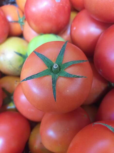 Foto volledige opname van tomaten