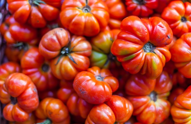 Volledige opname van tomaten