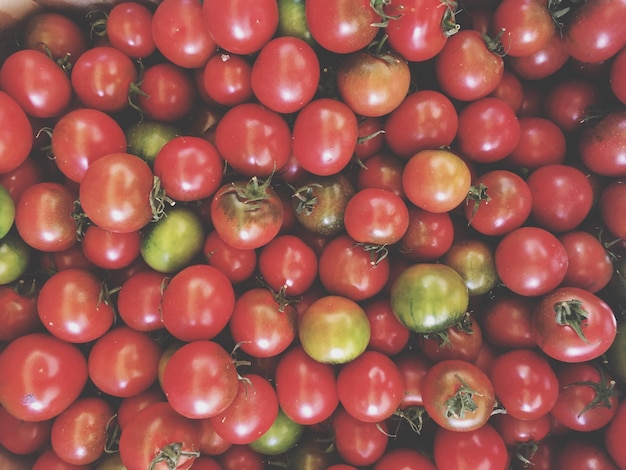 Volledige opname van tomaten